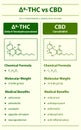 Ã¢Ëâ 8-THC vs CBD , Delta 8 Tetrahydrocannabinol vs Cannabidiol vertical infographic